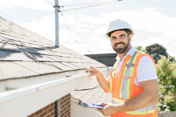 Best Gutter Replacement  in Ara, AL